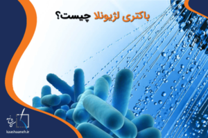 باکتری لژیونلا چیست؟